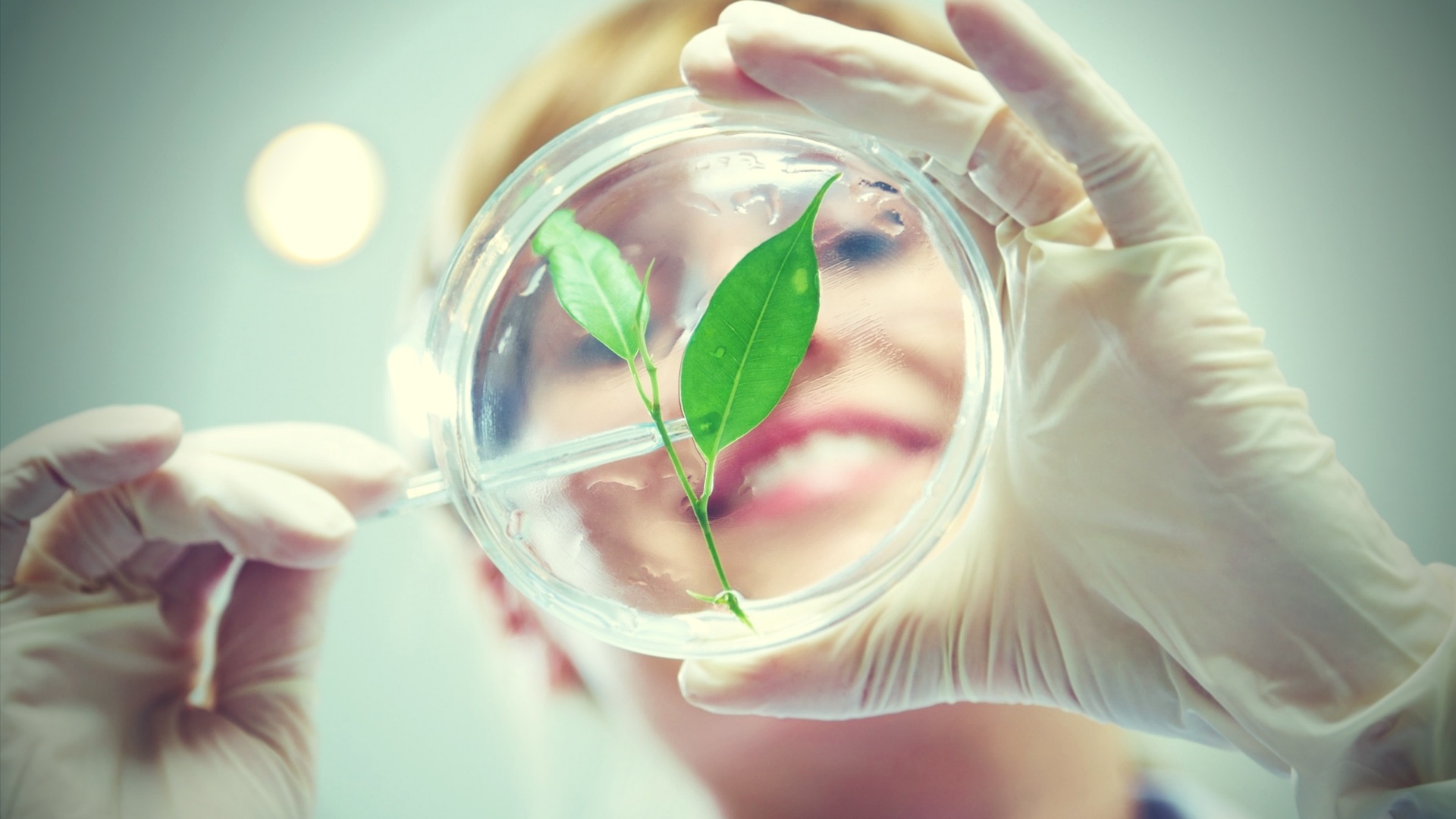 Συμπληρώματα Ανάπτυξης Στήθους Pueraria Mirifica